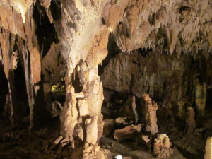 Amatérští jeskyňáři v Javoříčském krasu objevili kostru medvíděte. Přesné stáří určí radiouhlíková metoda