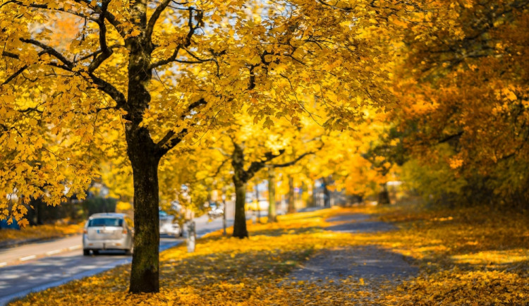 Podzim může na silnicích překvapit. Teploty rychle spadnou, tvrdí odborníci