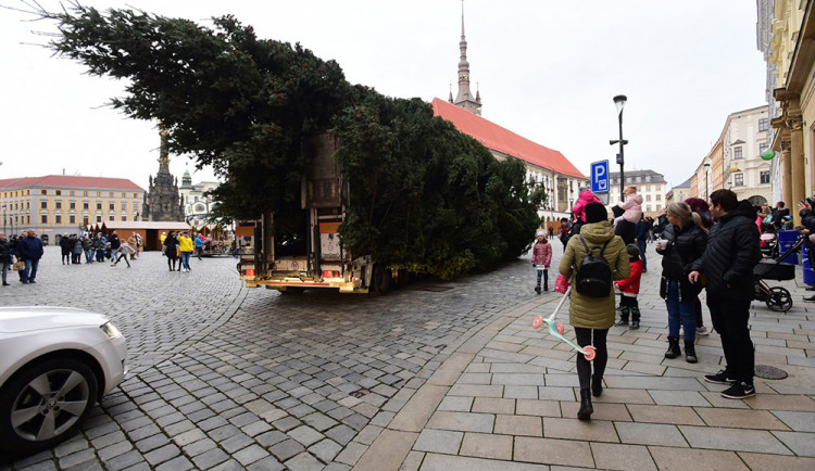 Olomoucké náměstí zdobí mohutná jedle. Město hledá pro vánoční strom jméno