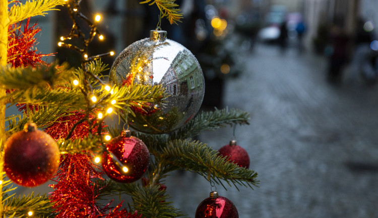 FOTOGALERIE: Uličku v centru Olomouce rozzářily vánoční stromky