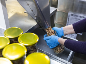 Produkty z ořechů se v Česku zabydlují, říkají průkopníci z olomoucké firmy