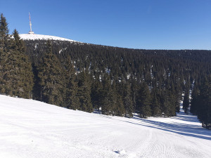 Ovčárna nabídne v sobotu poslední lyžování. V dalších částech Jeseníků už se rozbíhá letní sezona