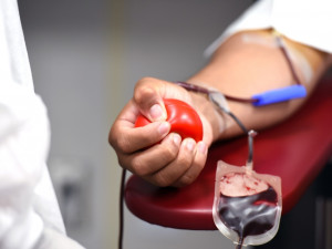 Přerovské nemocnici chybí dárci krve. Přes léto chce dohnat část odložených operací