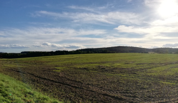 Ceny pozemků v České republice meziročně stouply o 23,2 procenta