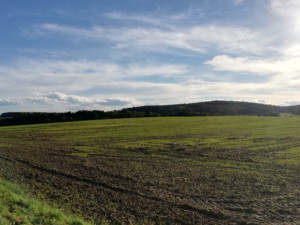 Ceny pozemků v České republice meziročně stouply o 23,2 procenta