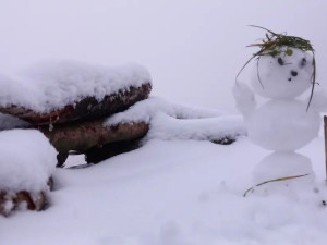 VIDEO: V kraji padá sníh, silničáři vyrazili už v noci. Meteorologové varují před náledím