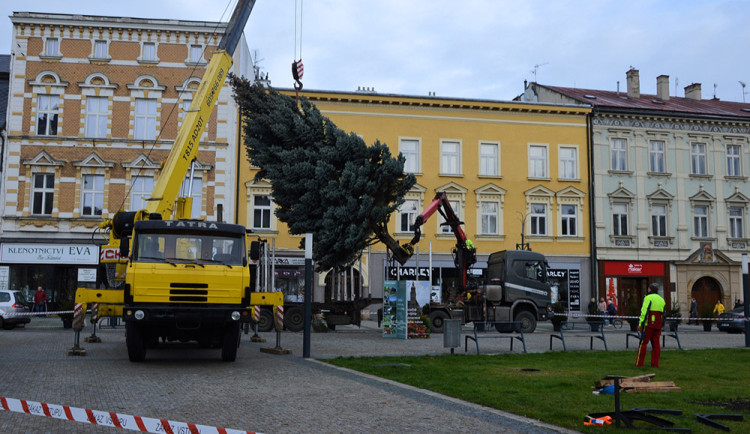 Města v kraji už mají nové jehličnaté dominanty. Kdy se vánoční stromy rozsvítí?