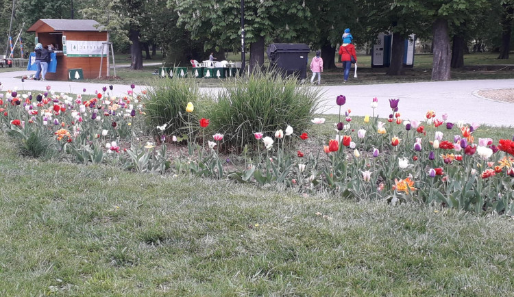 Jarní Flora Olomouc