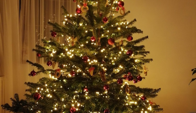SOUTĚŽ: Rozhodněte o nejhezčím vánočním stromku od našich čtenářů